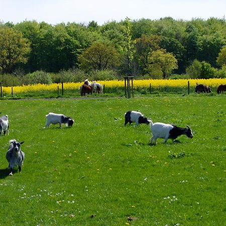 Ferienwohnungen Auf Dem Ferienhof Sell Stoltebüll Kültér fotó